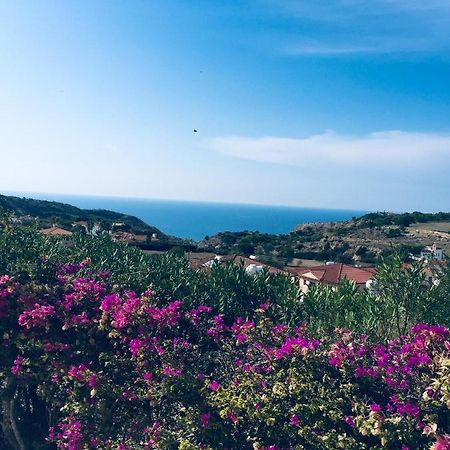 Pissouri Villa Miramar מראה חיצוני תמונה