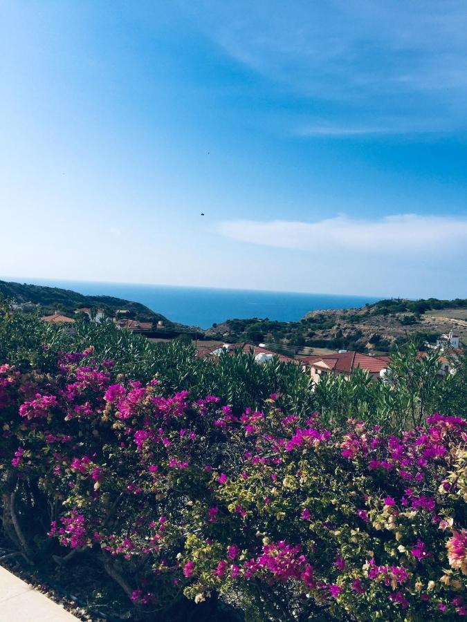 Pissouri Villa Miramar מראה חיצוני תמונה